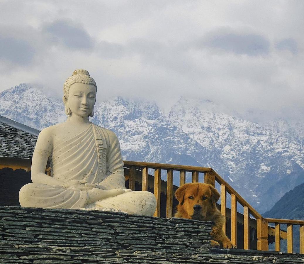 Osho Himalayas Wellness Resort Kangra Ngoại thất bức ảnh